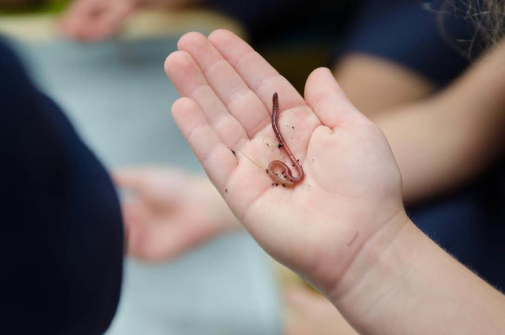 Child holding worm