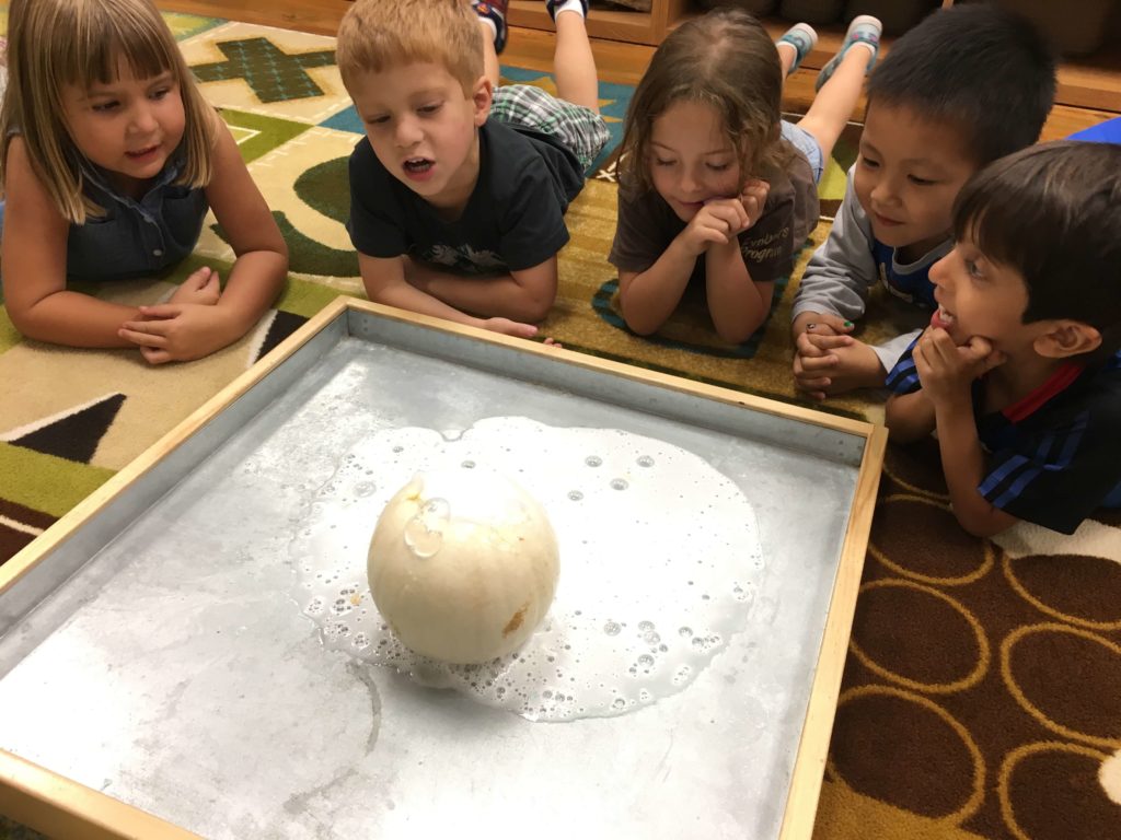 Children watching experiment